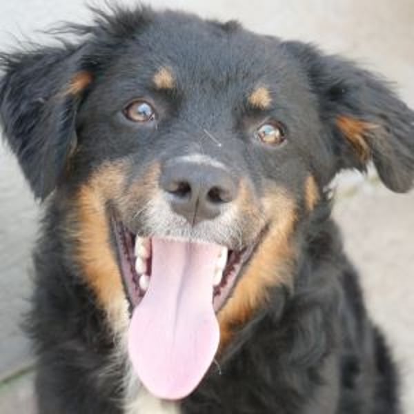 Baldwin - Hero Image