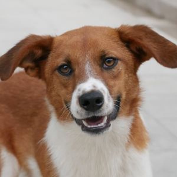 Brendon - Hero Image