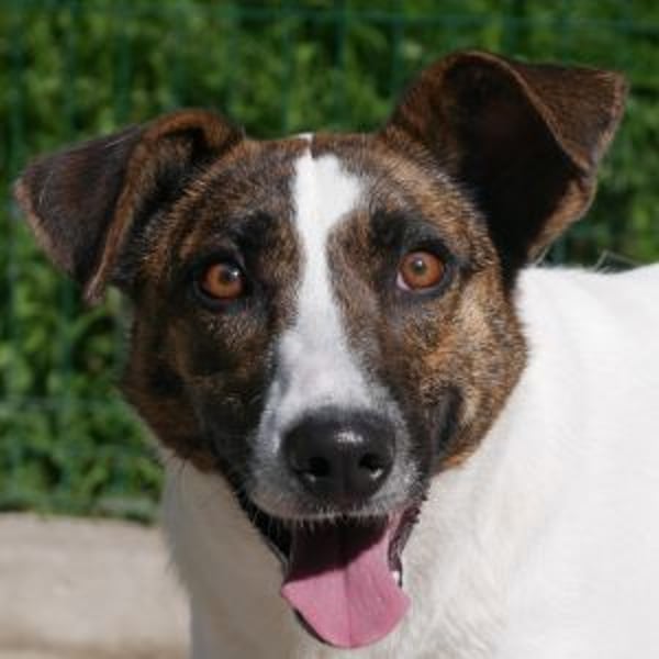 Kareela - Hero Image