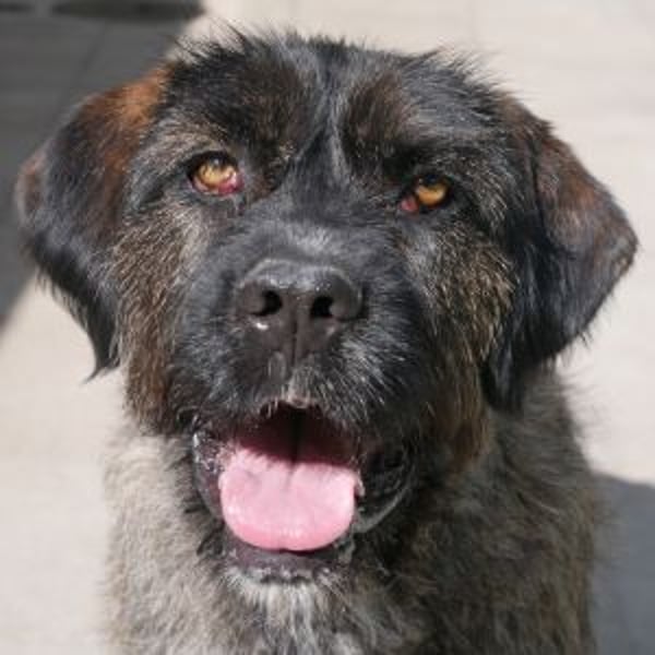 Lily May - Hero Image