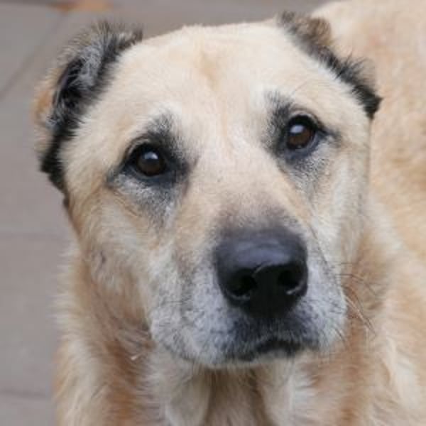 Militin - Hero Image