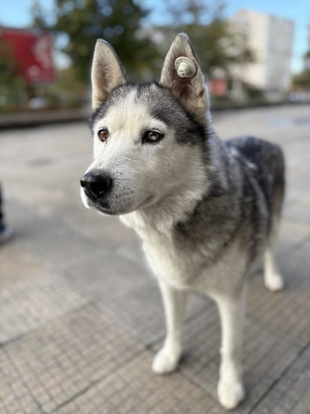 Kaja - Hero Image