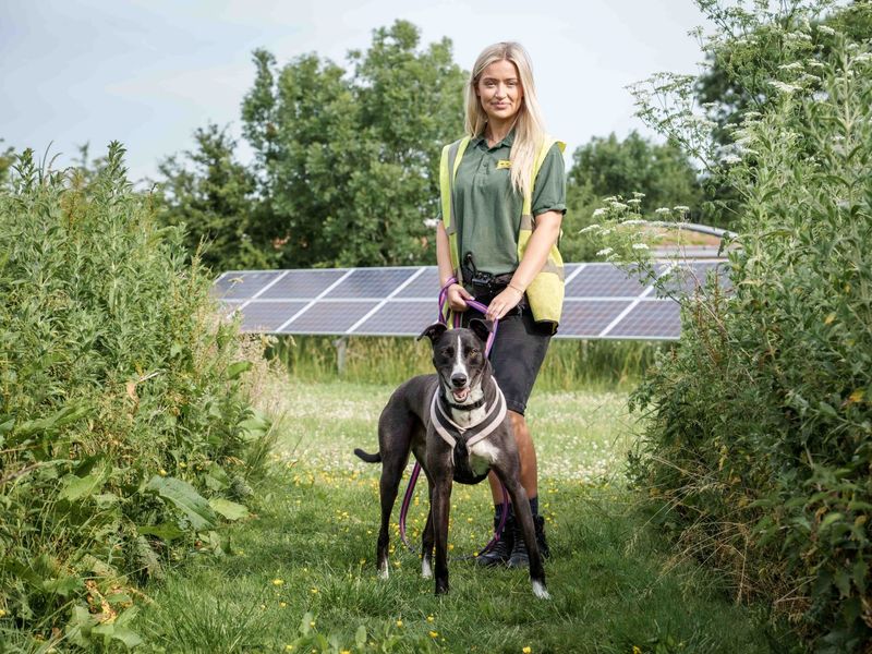 Betty spaghetti - Hero Image