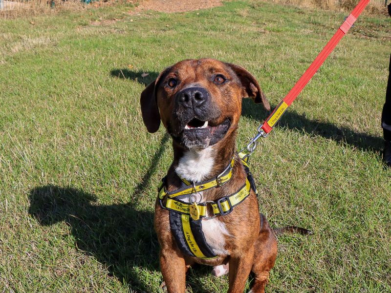 Calvin - Hero Image