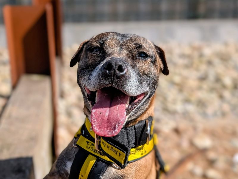 Cassie & Fluke - Hero Image