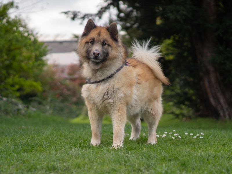 Cooper - Hero Image