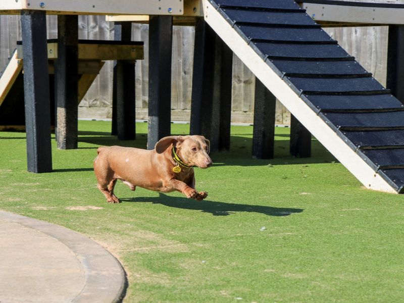 Daximus - Hero Image