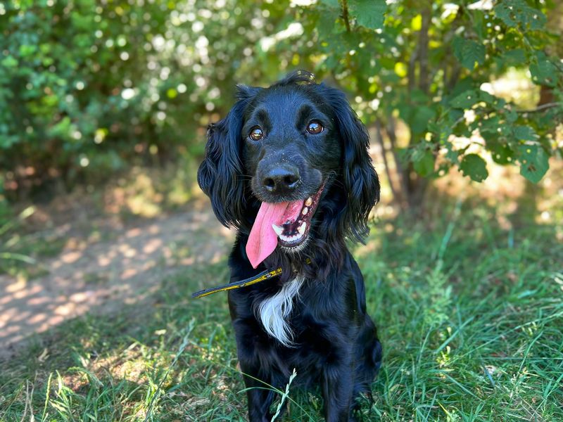 Della - Hero Image