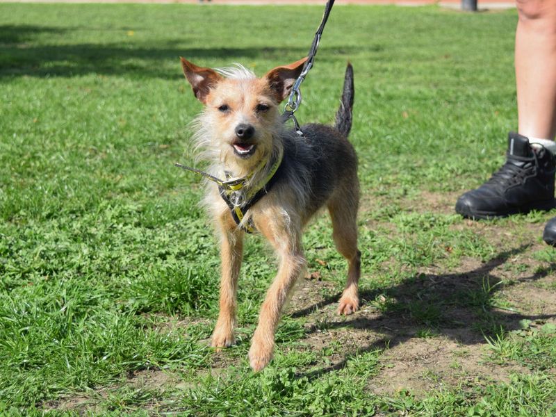 Dorothy - Hero Image