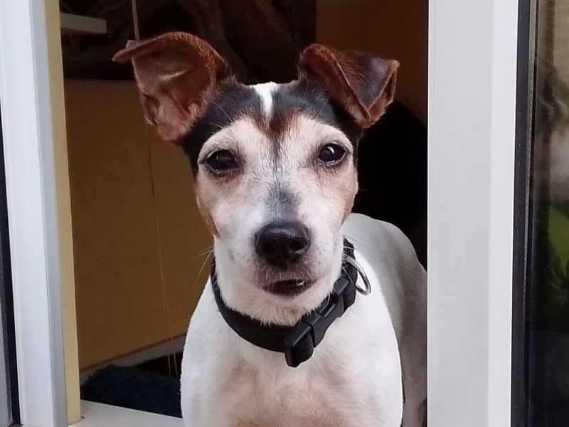 Esther - Hero Image