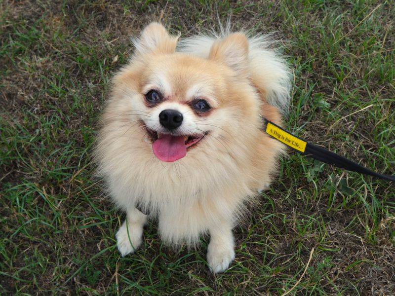 Frankie Chi - Hero Image