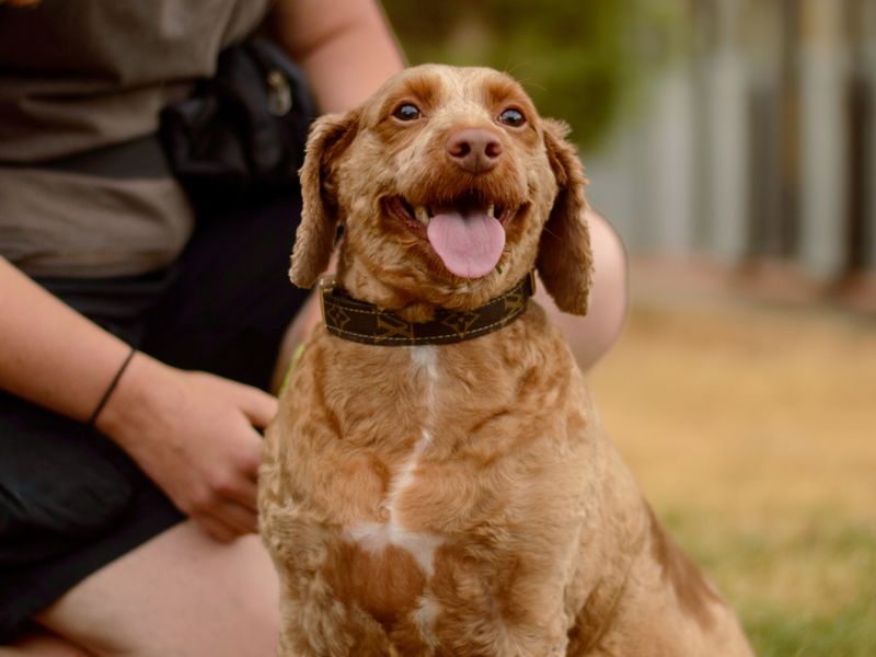 Fudge - Hero Image