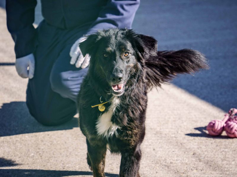 Georgia - Hero Image