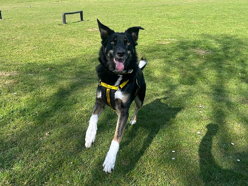 Georgia - Hero Image