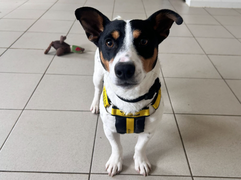 Henry - Hero Image