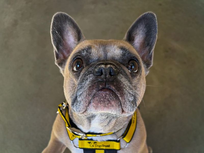 Hetty - Hero Image
