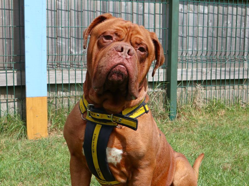 Hooch - Hero Image