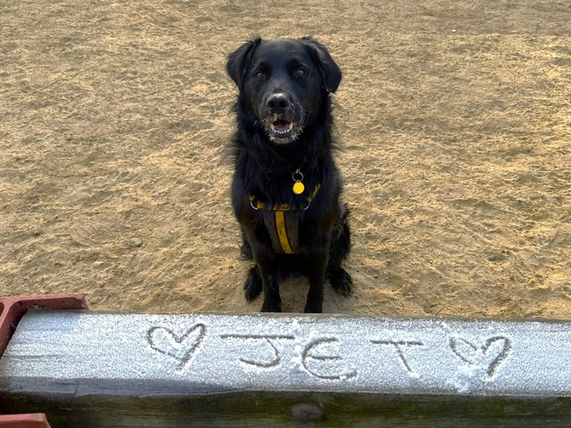 Jet - Hero Image