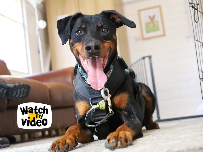 Jupiter - Hero Image