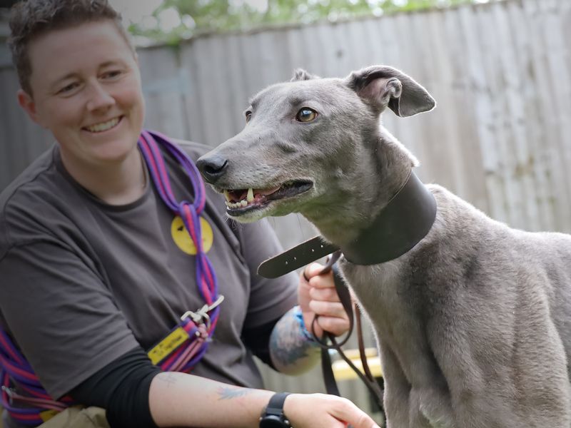 Kenny Boy - Hero Image