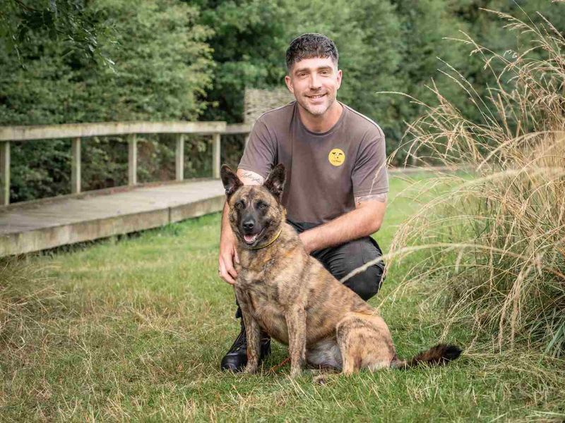 Lady Ruby Waggington - Hero Image