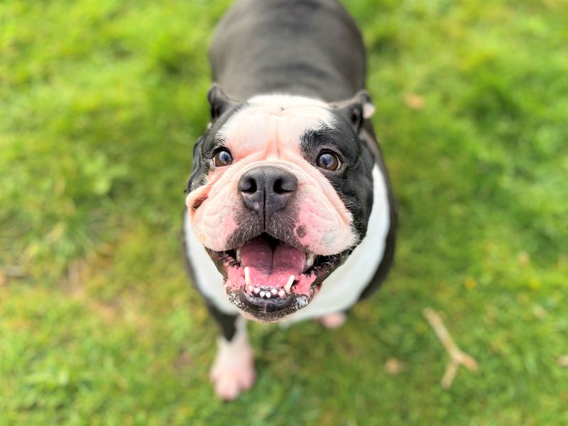 Lola - Hero Image