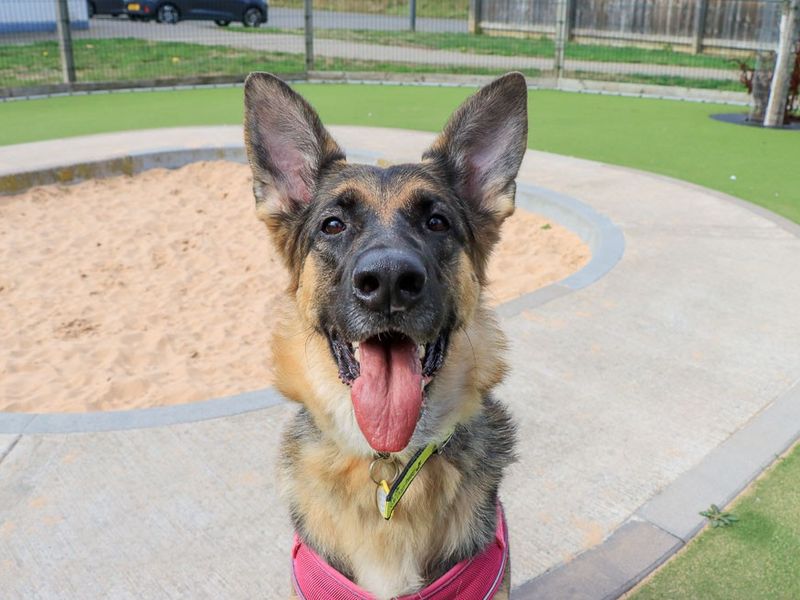Lola - Hero Image