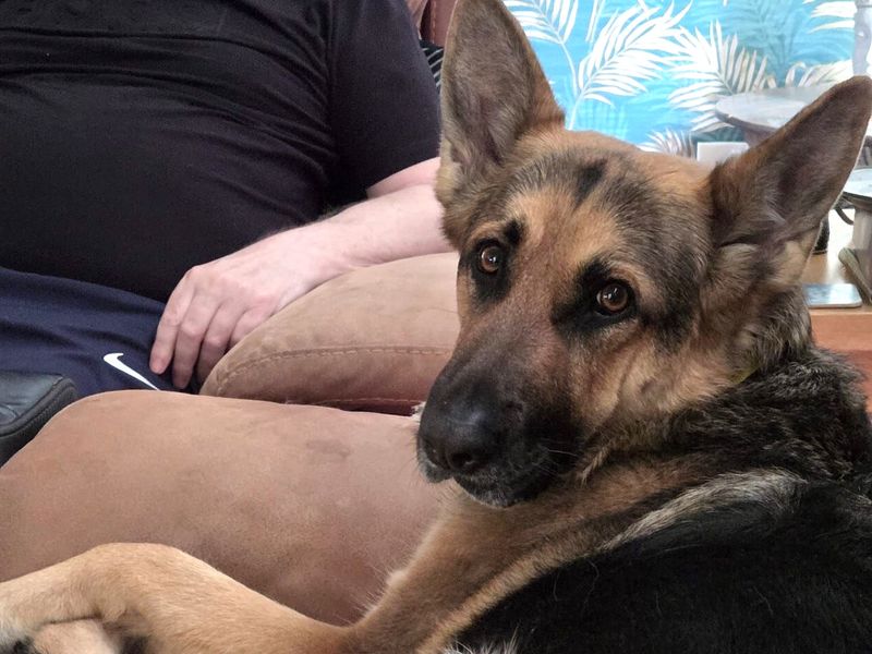 Lou Lou - Hero Image