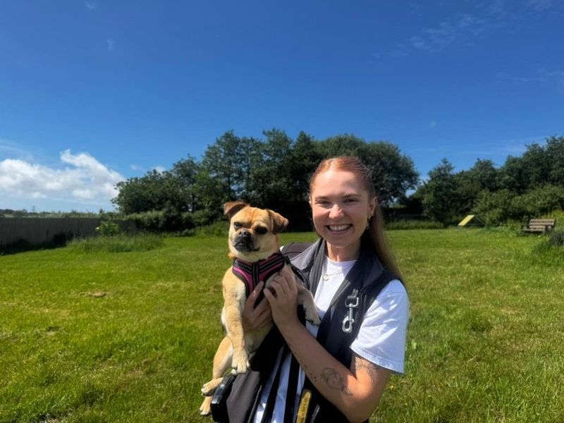 Maisie - Hero Image