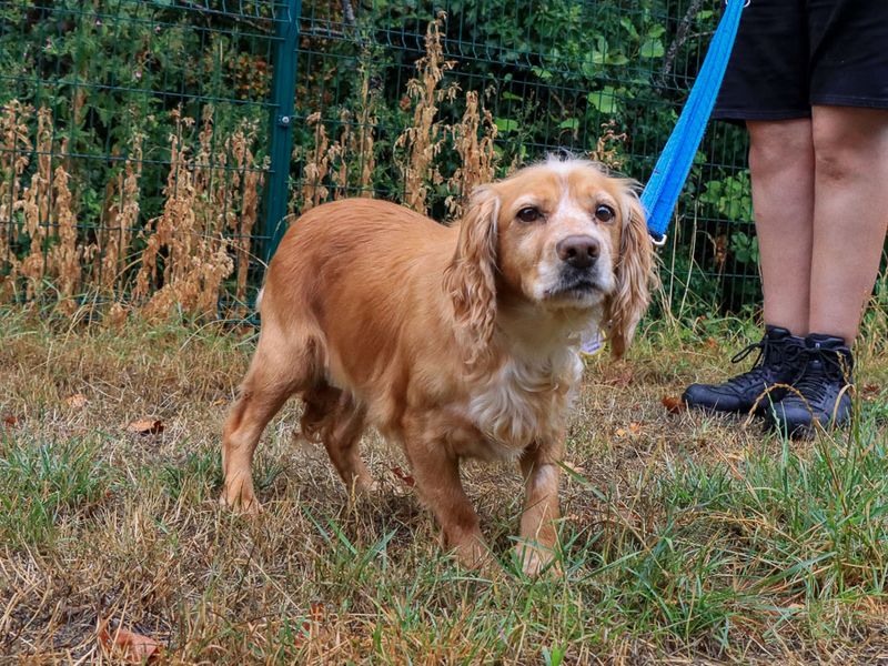Millie - Hero Image