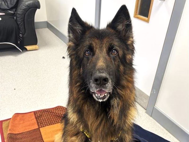 Mortimer - Hero Image