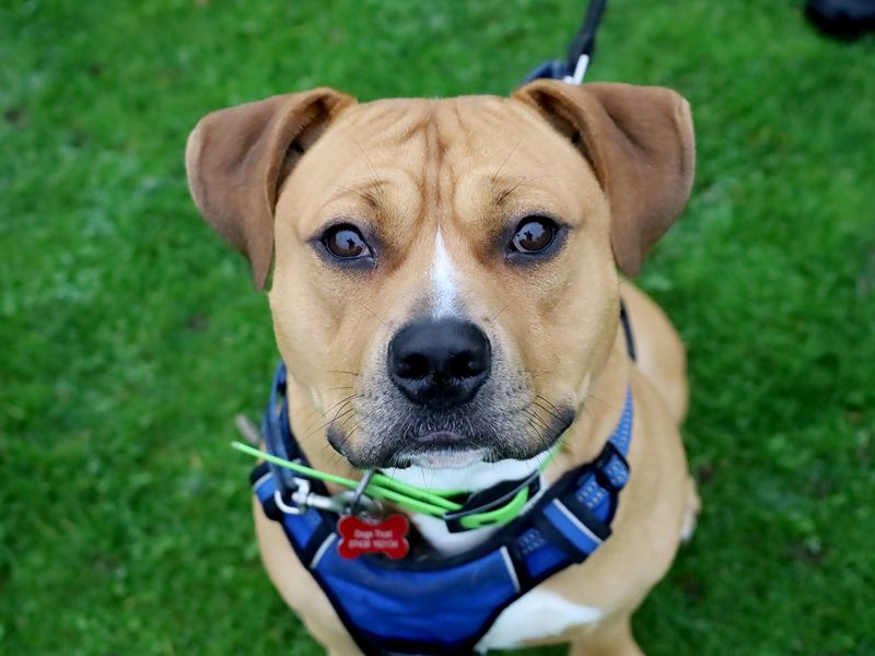 Otis - Hero Image