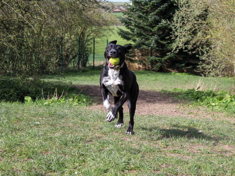 Pandora - Hero Image