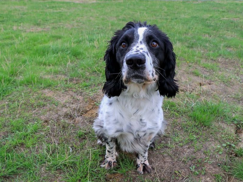 Rupert - Hero Image