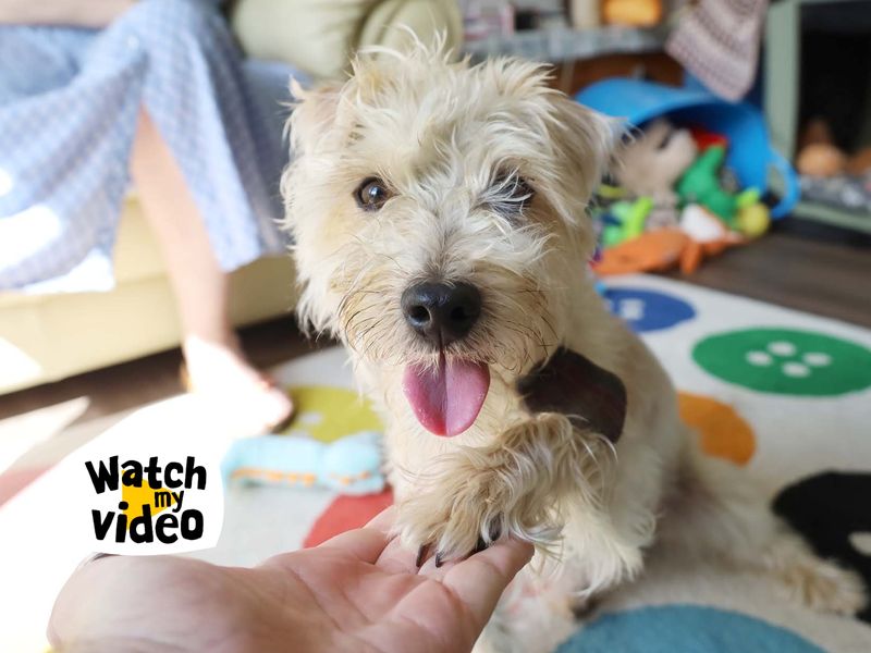 Teddy - Hero Image