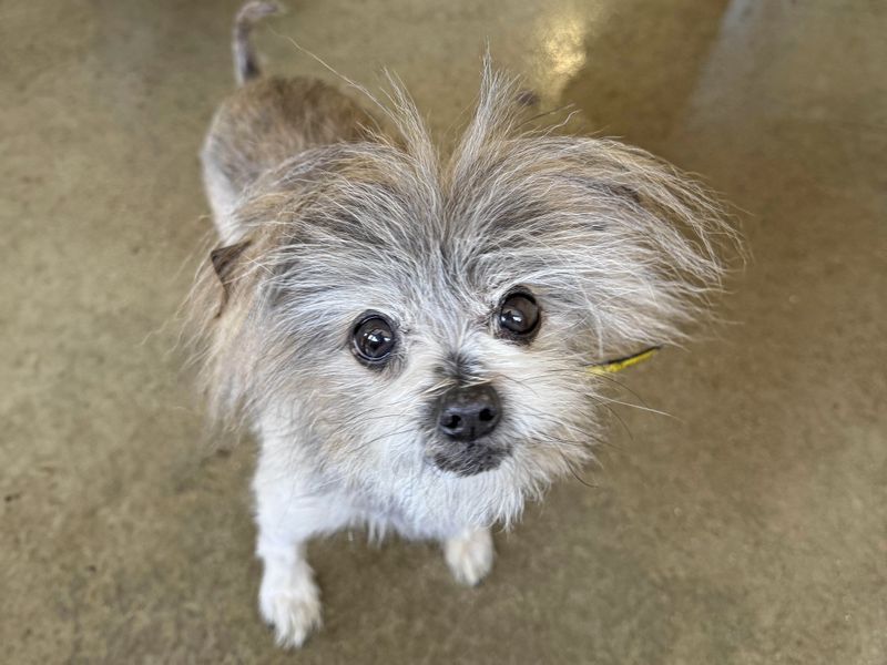 Theodore - Hero Image