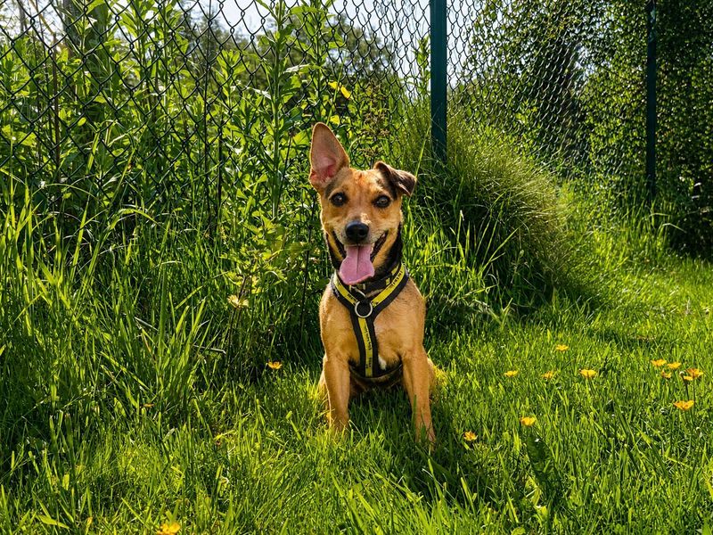 Tilly - Hero Image