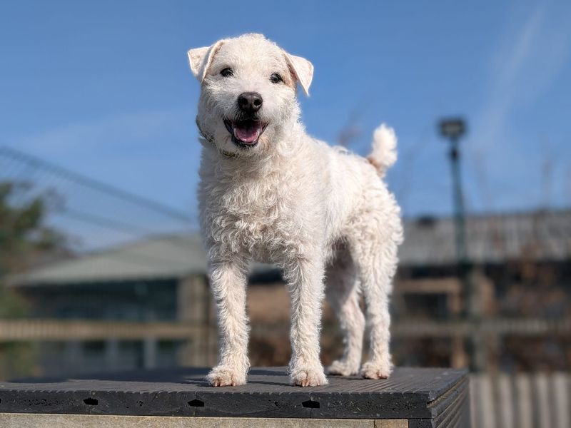 Vincent - Hero Image