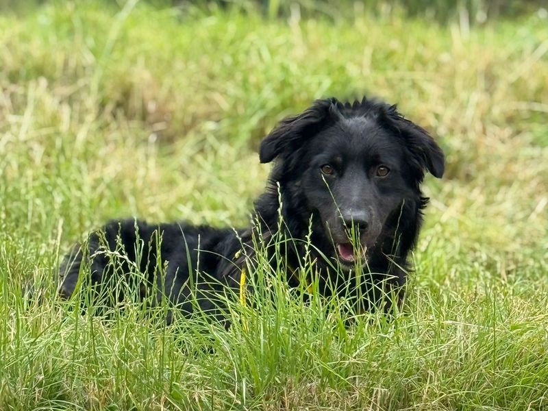 Wilbur - Hero Image