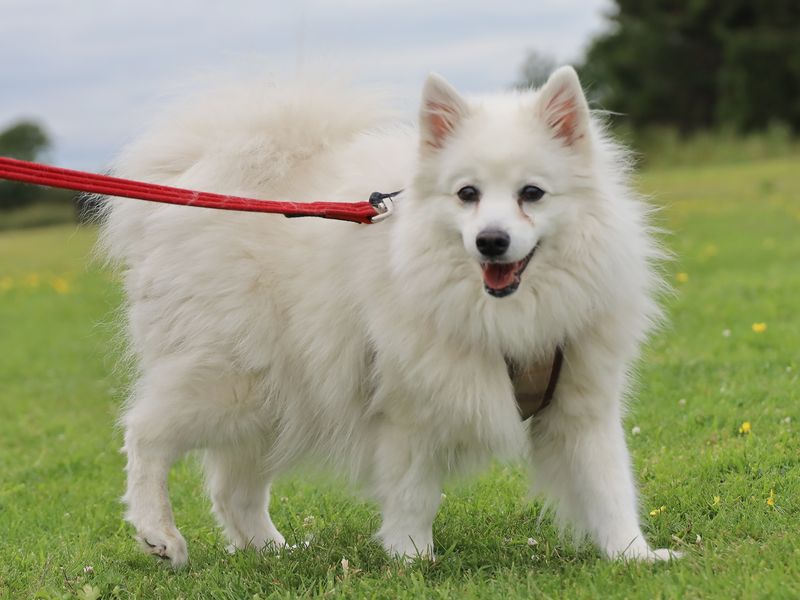 Yuki - Hero Image