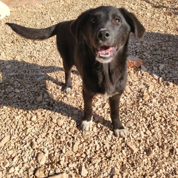 Brunilde - Hero Image