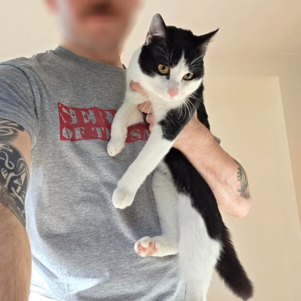 Ham Hock - Hero Image