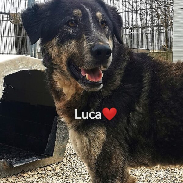 Luca - Hero Image