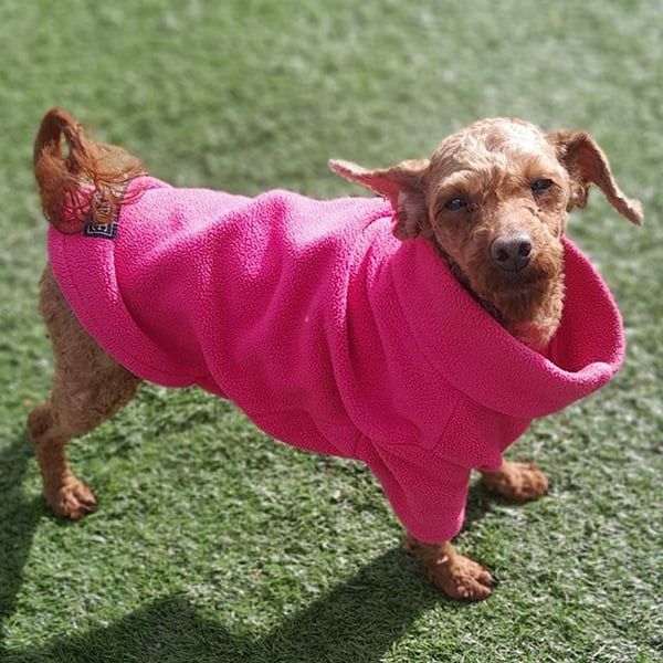 Bear Boo - Hero Image