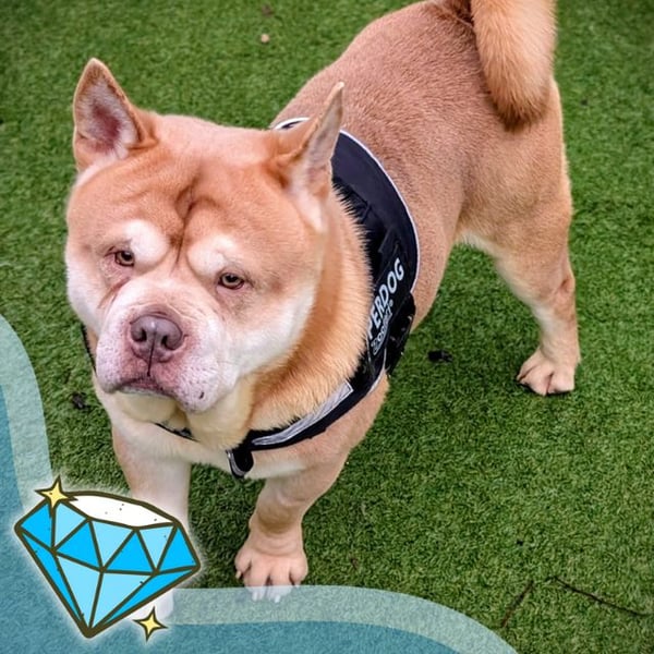 Criss Cross - Hero Image