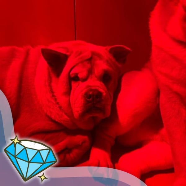 Crumble - Hero Image