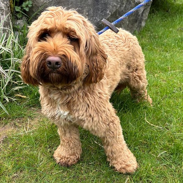 Heather - Hero Image