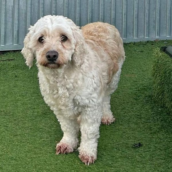 Holiday - Hero Image