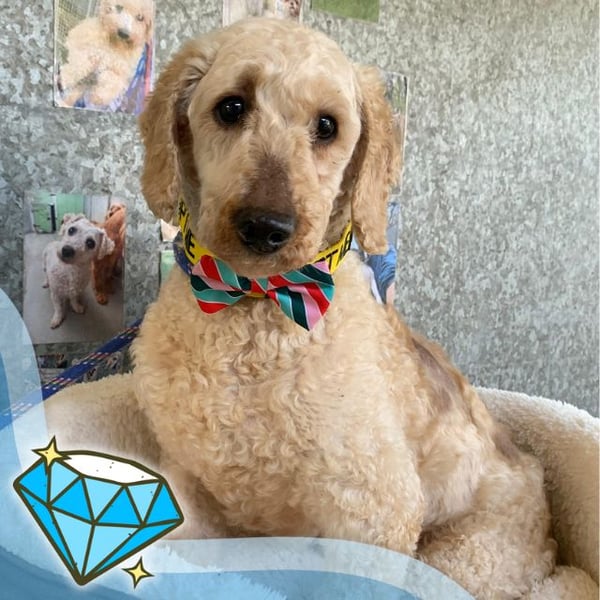 Kingston - Hero Image