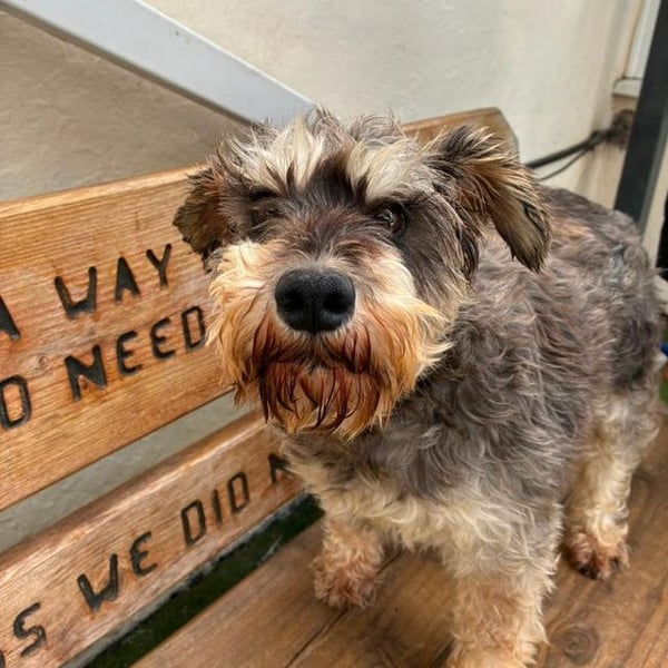 Missie - Hero Image